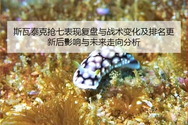 si-wa-tai-ke-qiang-qi-biao-xian-fu-pan-yu-zhan-shu-bian-hua-ji-pai-ming-geng-xin-hou-ying-xiang-yu-wei-lai-zou-xiang-1-179.jpg